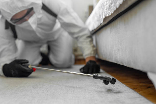 Professional Bed Bug Control technician working in Twentynine Palms, CA