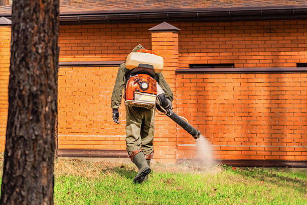 Trusted Cockroach Control service in Twentynine Palms, CA - Nex Pest Control